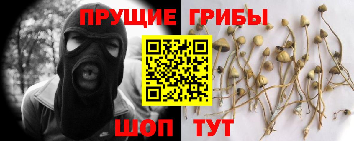 Галлюциногенные грибы Cubensis Симферополь